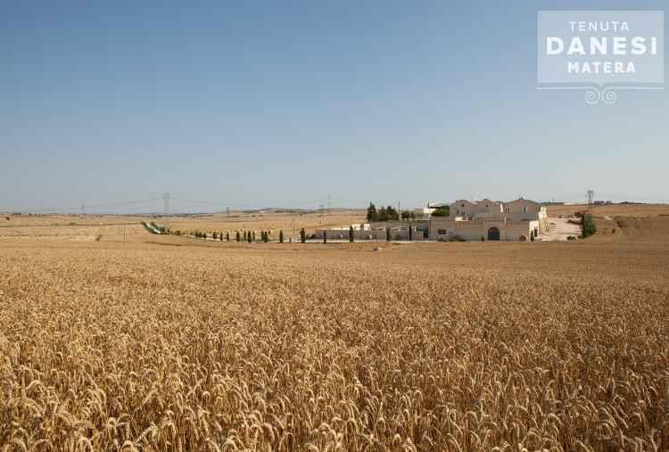 Agriturismo in Basilicata: 4 mete imperdibili in primavera