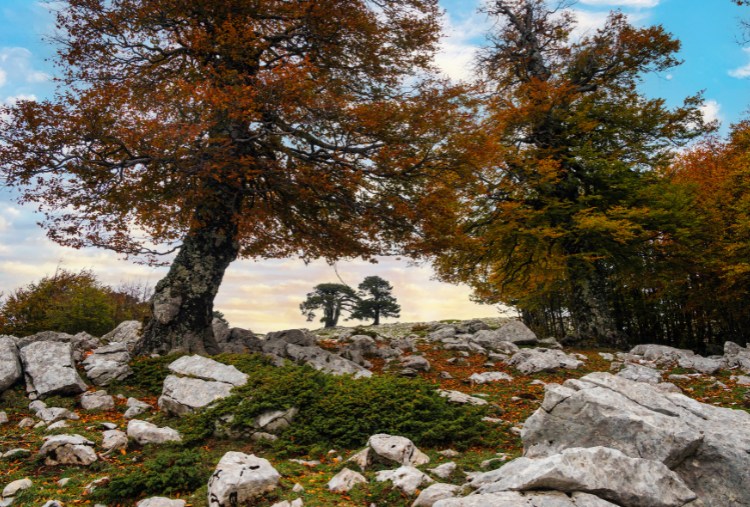 Parco Nazionale del Pollino: tra relax e avventura