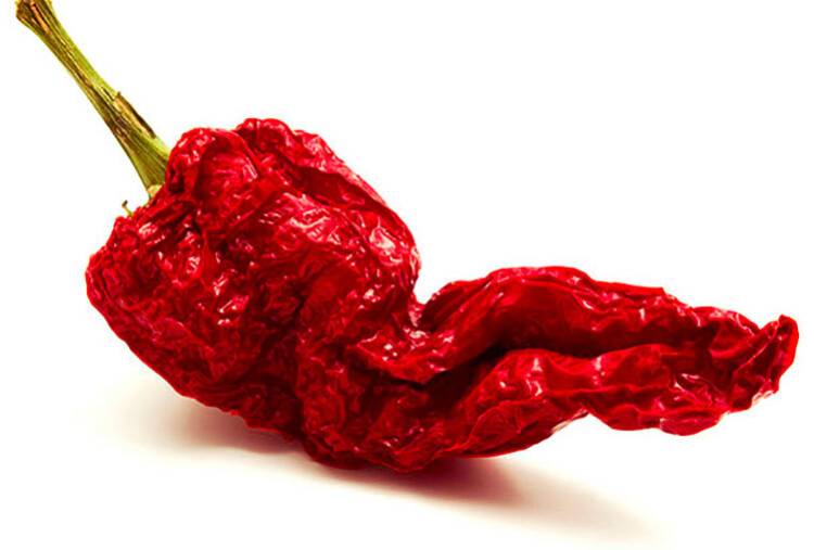 Cruschi, peperoni e peperoncini