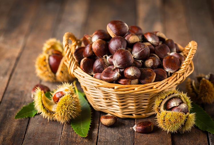 Le castagne in Basilicata: prelibatezza d’autunno