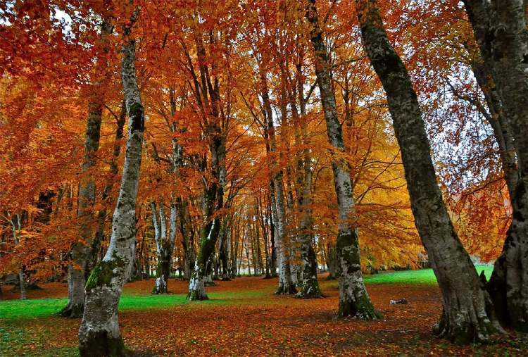 Cinque luoghi da visitare in Basilicata in autunno