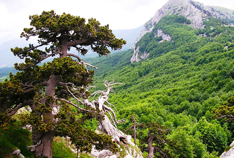 Speciale Parco Nazionale del Pollino