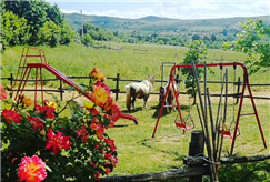 13/02: 1 Notte nella Natura a San Valentino in Mezza Pensione o Pensione Completa per 2 persone