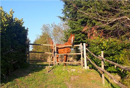 1 Notte nella Natura anche in Mezza Pensione o Pensione Completa per 2 persone