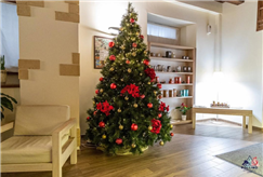 Dal 24 al 26 Dicembre: 2 Notti a Natale con Cena della Vigilia con Musica, Pranzo di Natale e Percorso Benessere per 1 persona